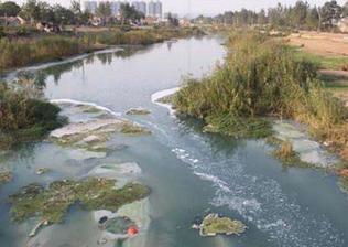 根据《公司法》《证券法》等相关法律法规