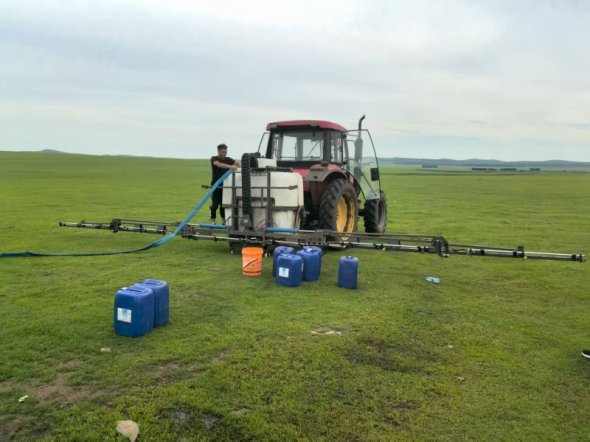 实施偷采盗采矿产资源等违法行为