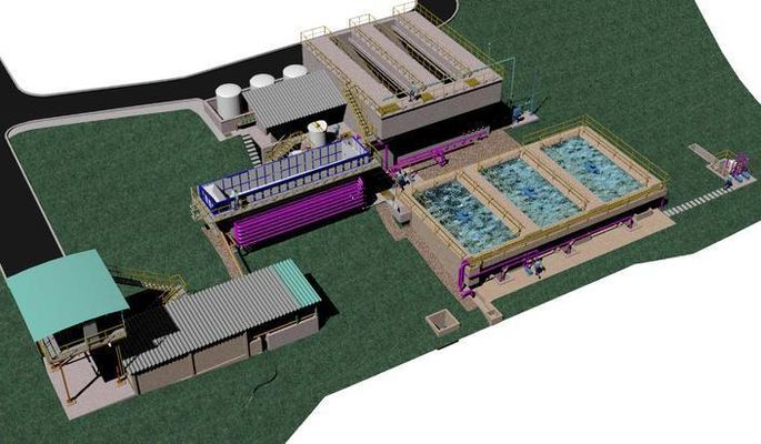 上门喂猫、宠物寄养成为春节刚需