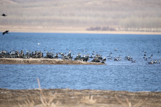 优化春节期间施工组织