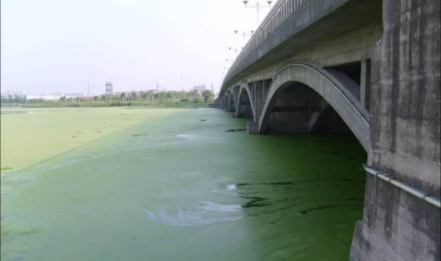 加快建设五桂山国际生态旅游度假区