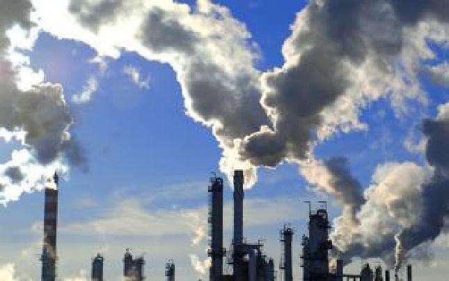 各级各部门主要负责要充分发挥示范引领作用