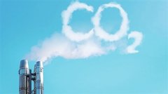 谓植曰：“汝请人邪？”